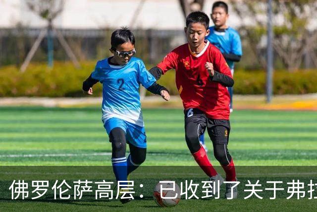 佛罗伦萨高层：已收到了关于弗拉霍维奇的报价