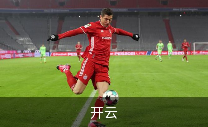 开云简介
