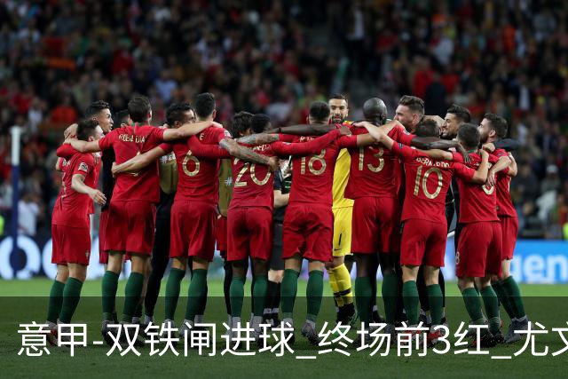 意甲-双铁闸进球 终场前3红 尤文2球落后2-2战平