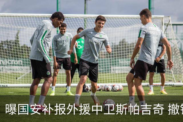 曝国安补报外援中卫斯帕吉奇 撤销恩科洛洛的联赛报名